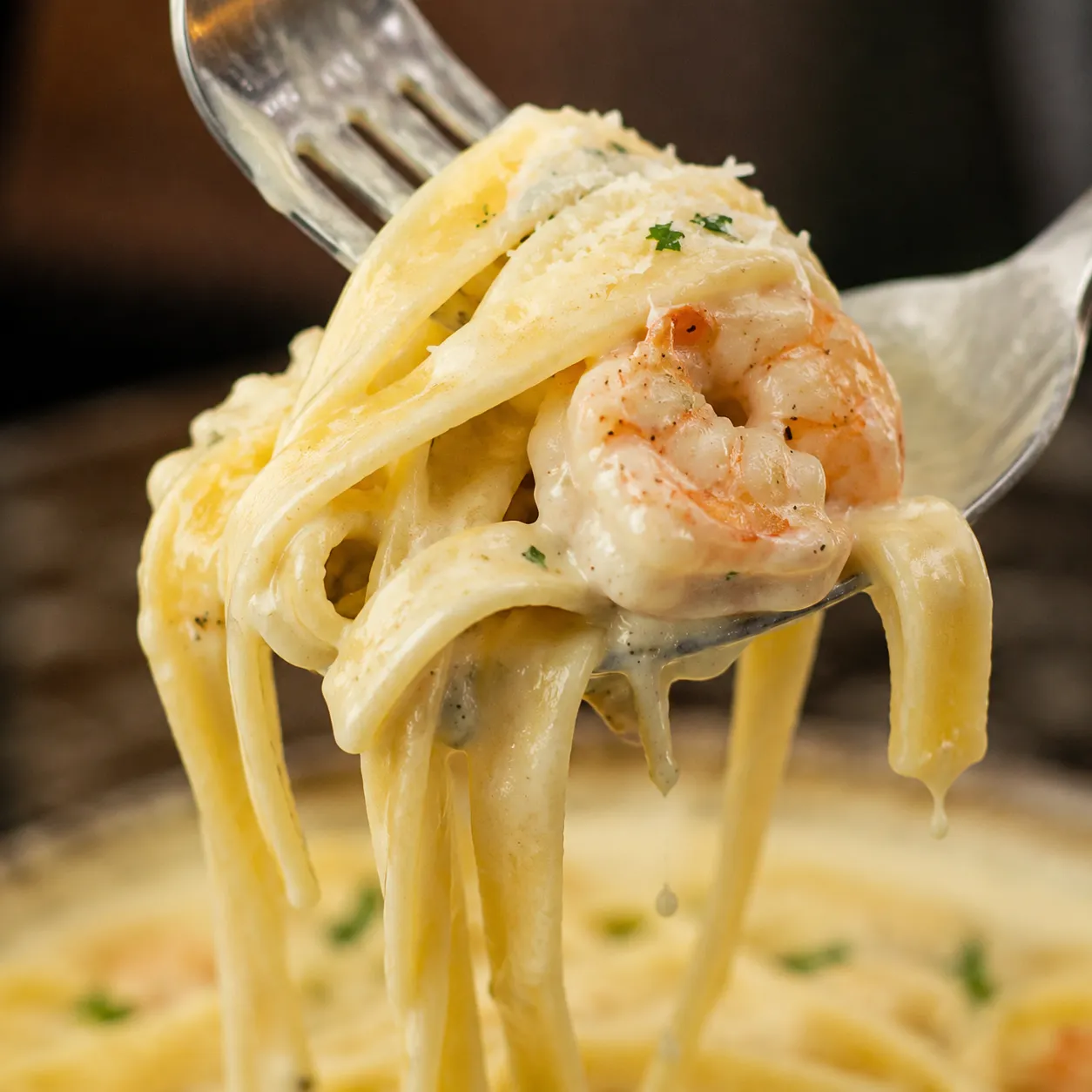 Close-up of creamy shrimp alfredo sauce coating fettuccine