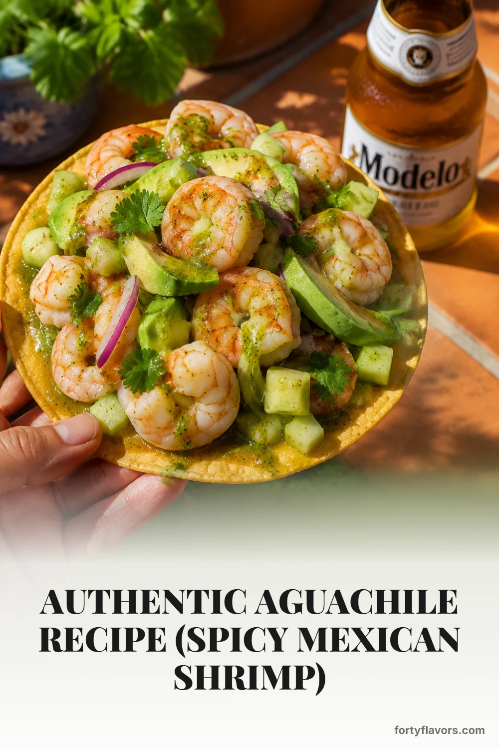 Authentic Aguachile Recipe (Spicy Mexican Shrimp) – Pinterest pin 8